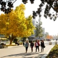 What is the Most Popular CSU?