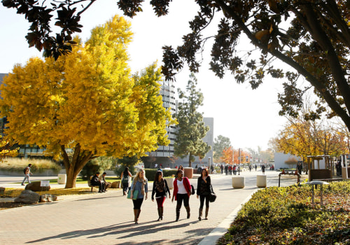 What is the Most Popular CSU?